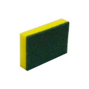 Sponges/Scourer